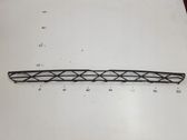 Front bumper lower grill