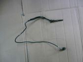 Exhaust gas temperature sensor