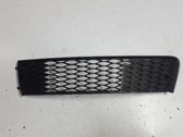 Front bumper lower grill