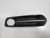 Front fog light trim/grill