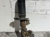 Front shock absorber/damper