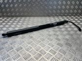 Tailgate/trunk strut/damper