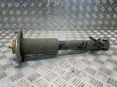 Rear shock absorber/damper