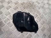 Headlight/headlamp dust cover