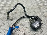 Negative earth cable (battery)