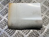 Fender trim (molding)