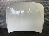Engine bonnet/hood