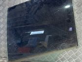 Rear door window glass