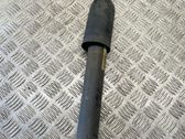 Rear shock absorber/damper