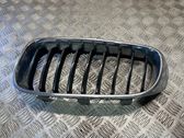 Front bumper upper radiator grill