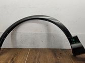 Fender trim (molding)