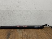 Tailgate/trunk strut/damper