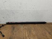 Tailgate/trunk strut/damper