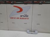 Manecilla interna puerta trasera