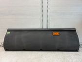 Rear door trim (molding)