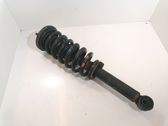 Front shock absorber with coil spring