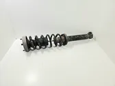 Rear shock absorber with coil spring