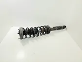 Rear shock absorber with coil spring