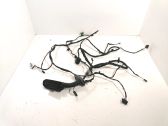 Front door wiring loom