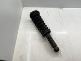Rear shock absorber with coil spring
