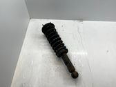 Rear shock absorber with coil spring