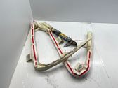 Roof airbag