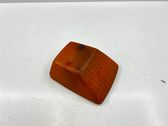 Front fender indicator light