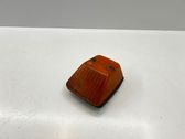 Front fender indicator light