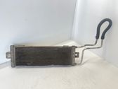 Radiatore del carburatore (radiatore)