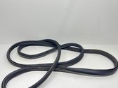 Trunk rubber seal (body)