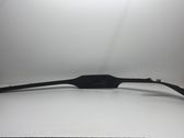 Front sill trim cover