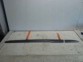 Beplankung Zierleiste Seitenwand Kotflügel hinten