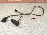 Other wiring loom