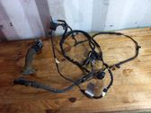 Front door wiring loom