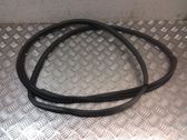 Trunk rubber seal (body)