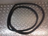 Rear door rubber seal (on body)