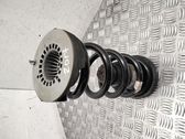 Rear coil spring