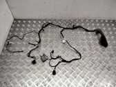 Front door wiring loom