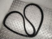 Rear door rubber seal (on body)