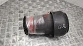 Rear air suspension bag/shock absorber