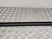 Rear door glass trim molding