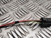 Other wiring loom