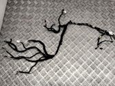 Other wiring loom