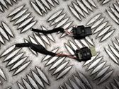 Other wiring loom