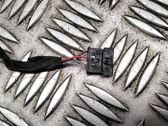 Other wiring loom