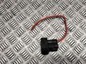 Other wiring loom