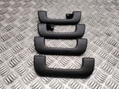 A set of handles for the ceiling