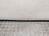 Rubber seal front door (on door)