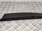 Rear door glass trim molding
