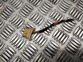 Other wiring loom